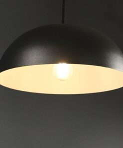 Đèn thả bàn ăn LTCN 81 (30cm)