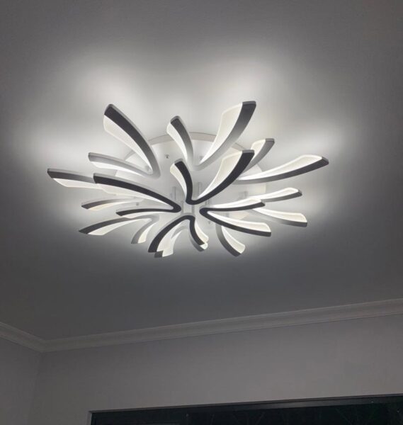 Đèn mâm LED ốp trần Chữ V 12 cánh 5019/8+4