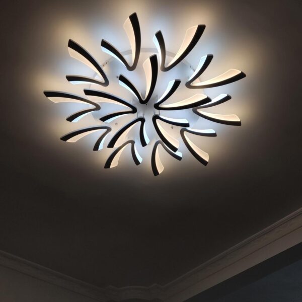 Đèn mâm LED ốp trần Chữ V 12 cánh 5019/8+4