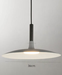 Đèn thả trang trí C2009