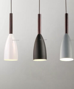 Đèn thả trang trí hiện đại D3063