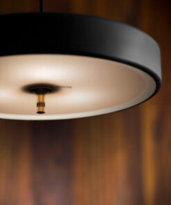 Đèn thả LED trang trí hiện đại D3160