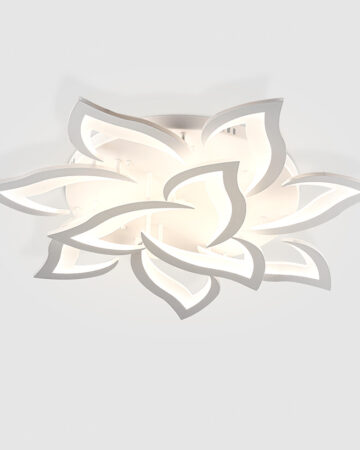 Đèn ốp trần 86826